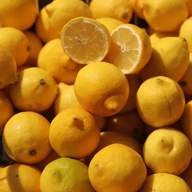 pexels-efrem-efre-2786187-18294341 copy